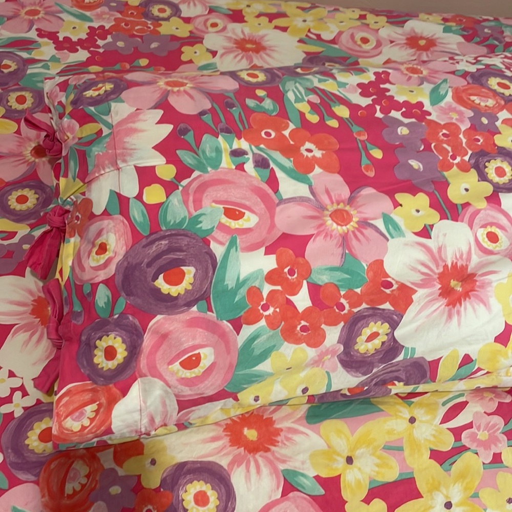 Pottery Barn Kids twin duvet and sham set in poppy